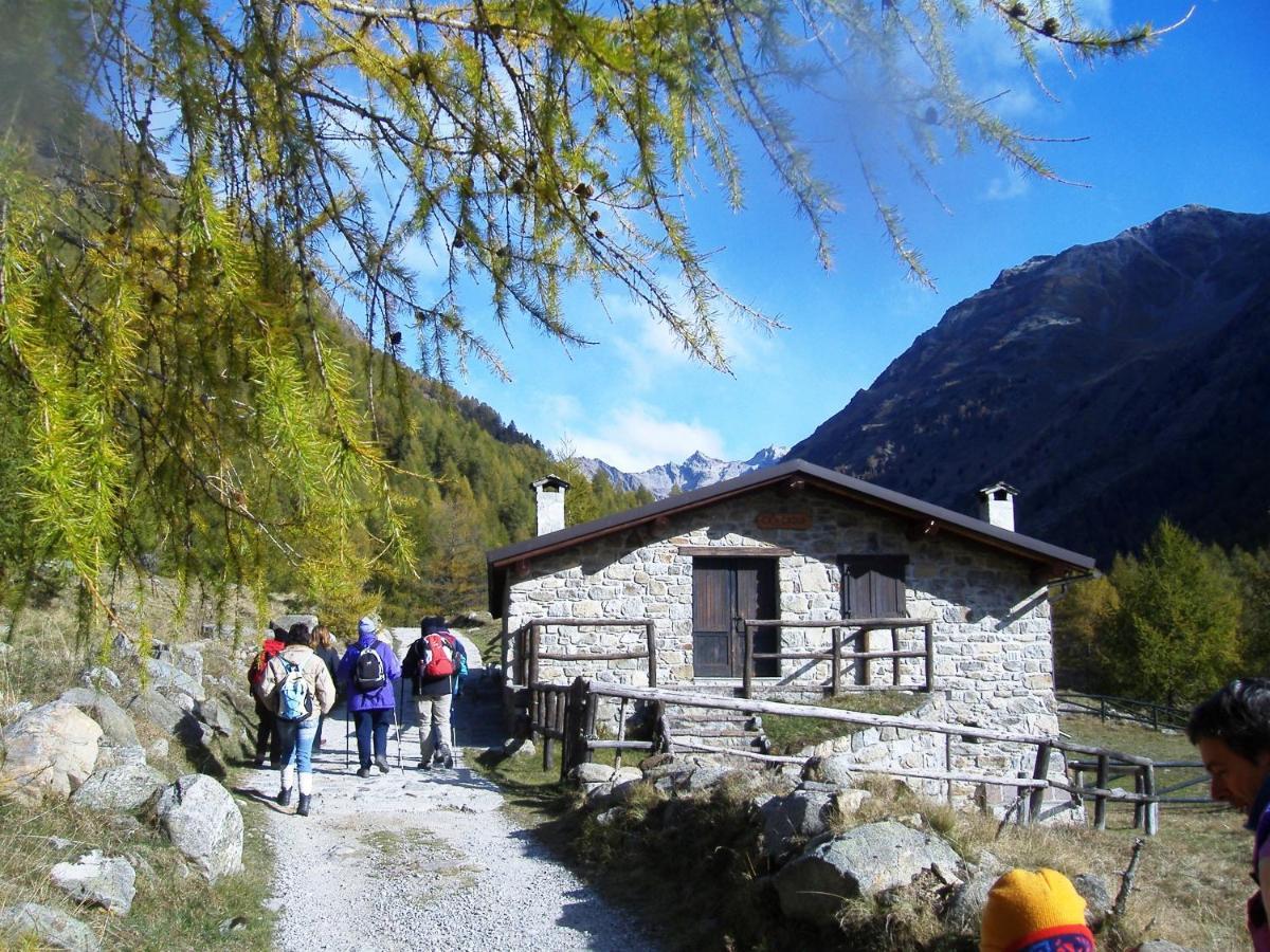 Casa Del Parco Dell'Adamello Di Vezza D'Oglio Hostel Buitenkant foto